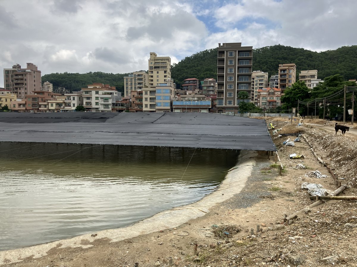 turtle farm in Humen, Guangdong