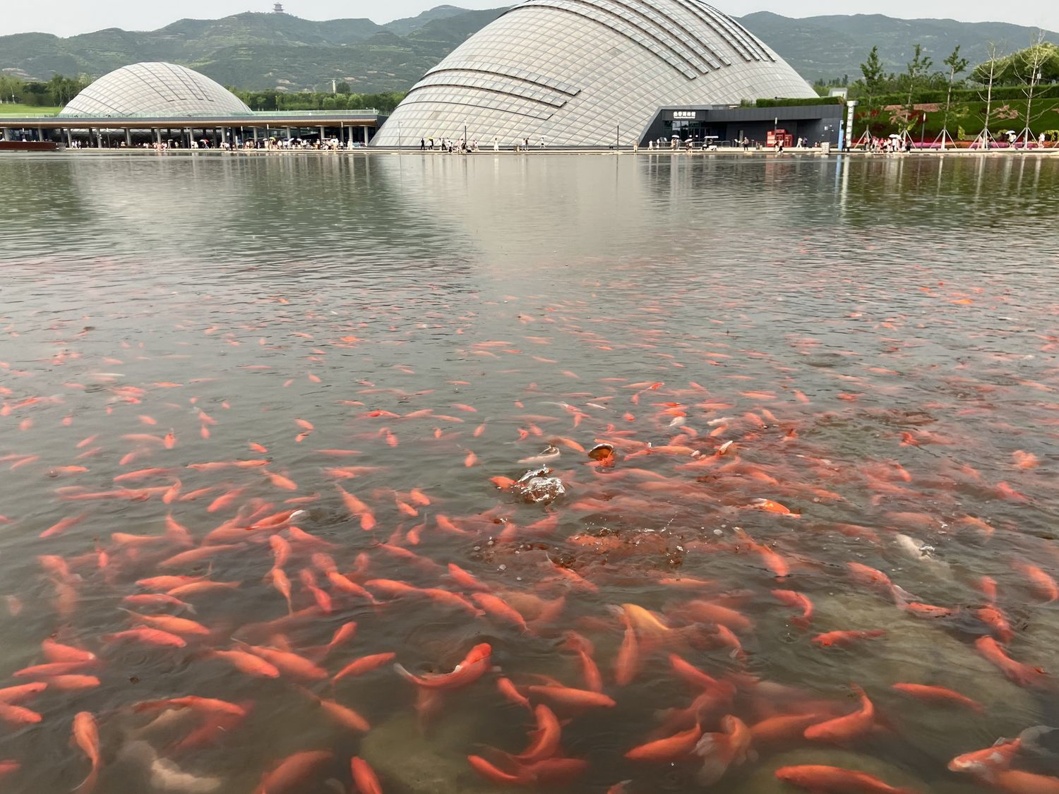 Outdoor landscape of Taiyuan Botanical Gardens