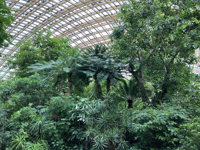 Various plants at the Taiyuan Botanical Gardens