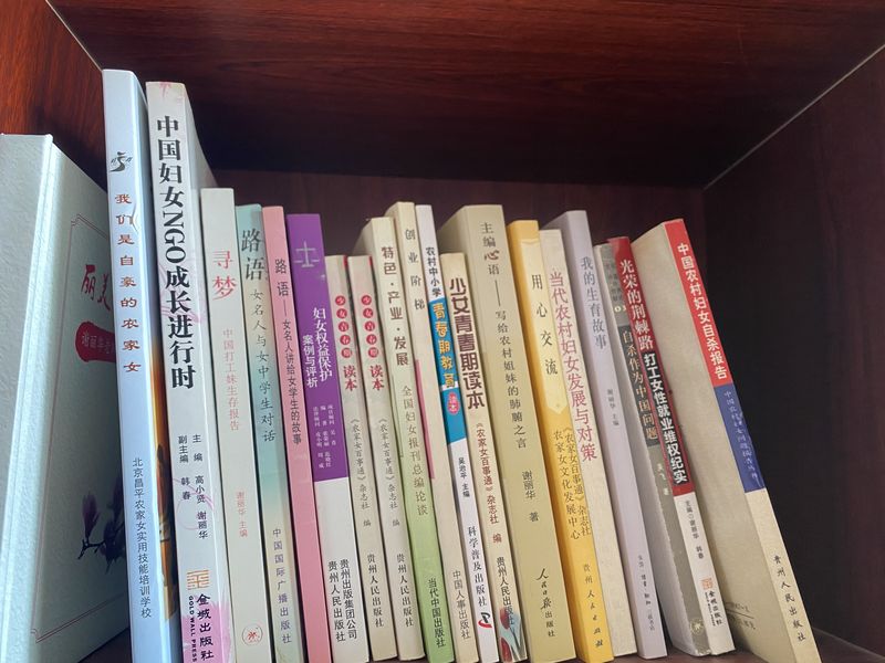 More than 20 years of monographs and studies born from Rural Women Knowing All (《农家女百事通》)