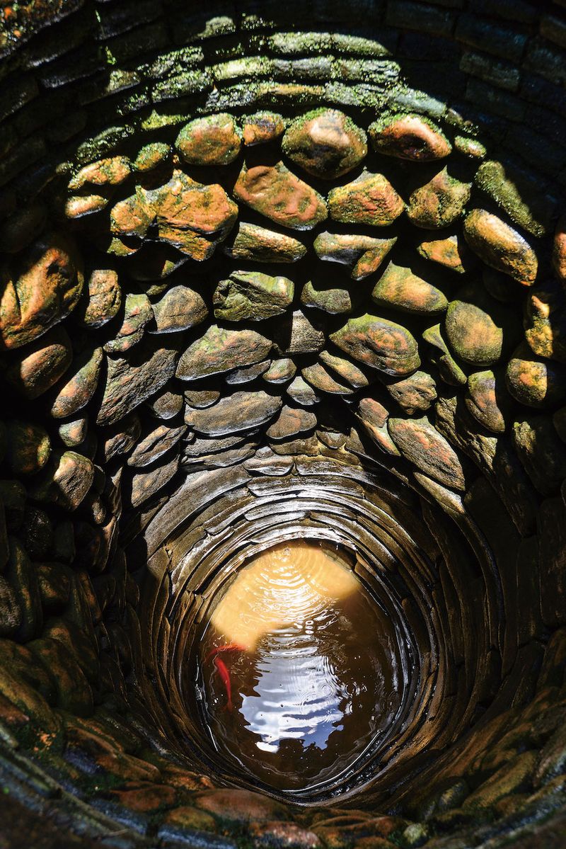 “Lucky” carp living in the well are returned to their home once villagers have changed the water inside