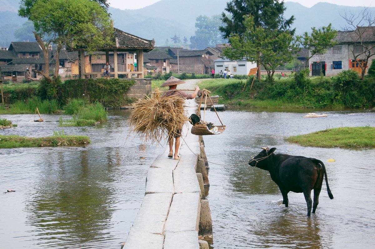 Longli Ancient Town, Guizhou: Understanding the connections between people and the places they inhabit is part of Yang’s passion