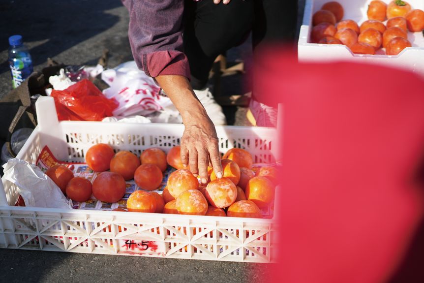 A shopkeeper prepares to display Fresh persimmons, a Shandong specialty