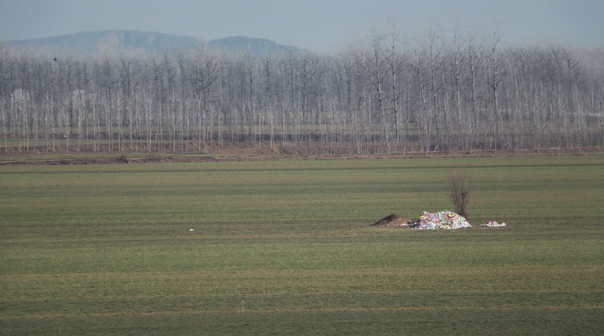 A tomb in rural northern China with a wreath on top and tree planted nearby (Shao Yefan)