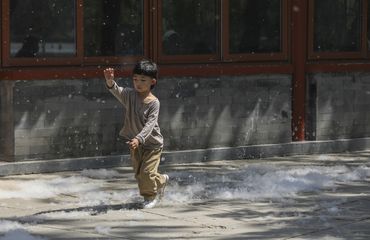 Beijing boy playing in catkin outside