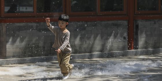 Beijing boy playing in catkin outside