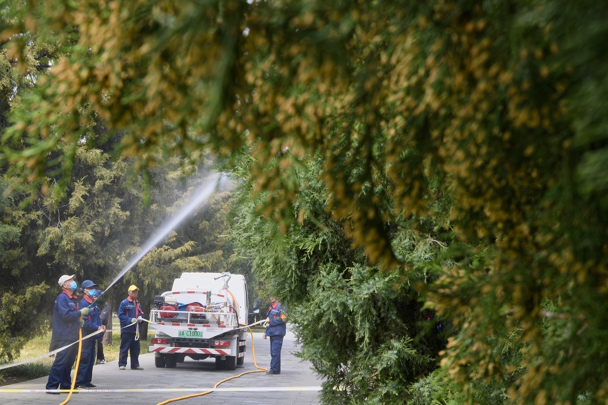 Beijing park personnel from Temple of Heavenly Park spray down trees