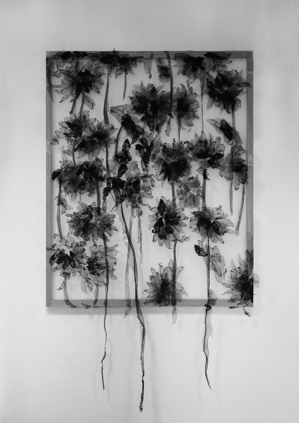 “Drama Continuous – Black Flowers,” gauze, 2017