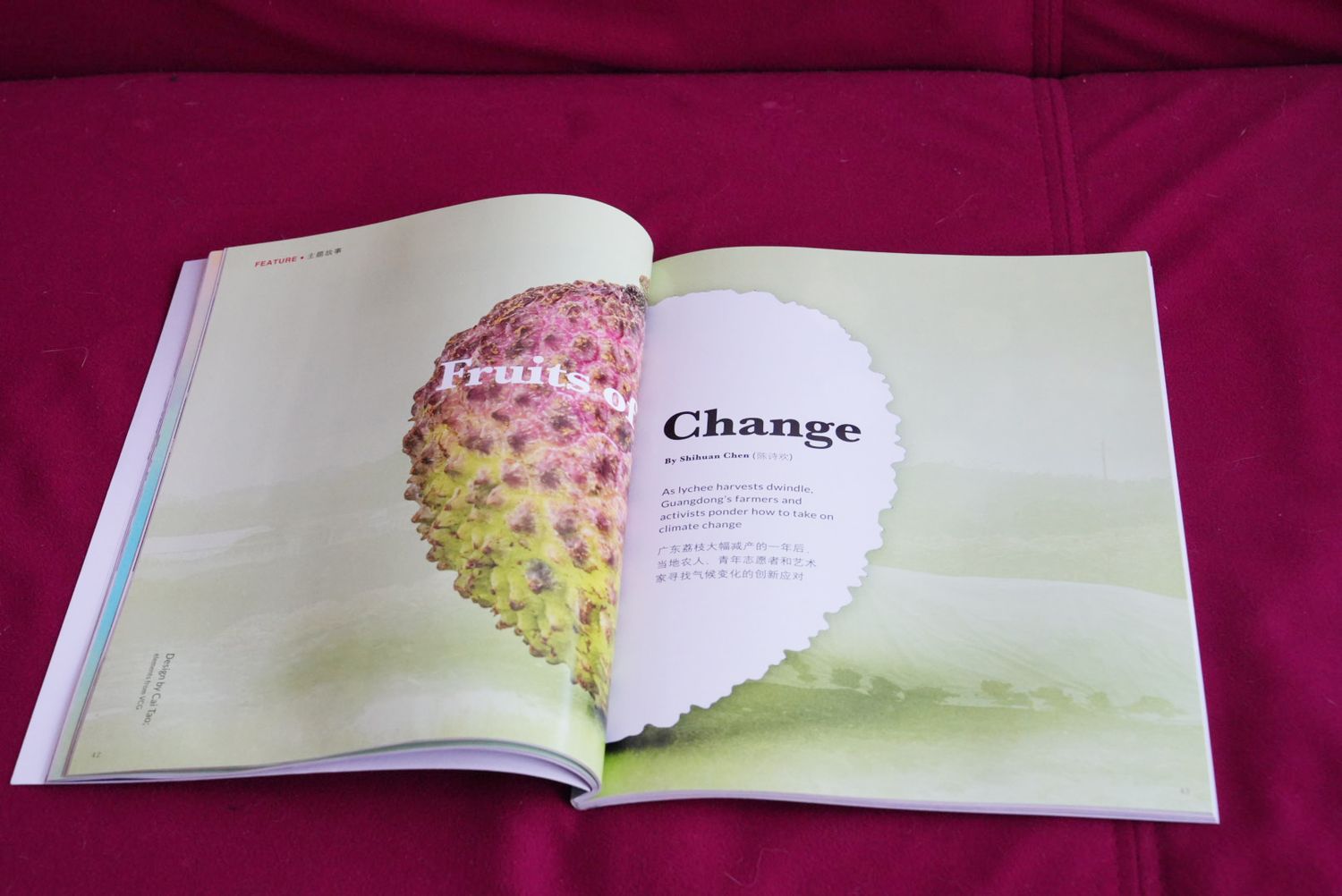 Guangdong’s farmers and activists deal with the lychee harvest decline due to climate change