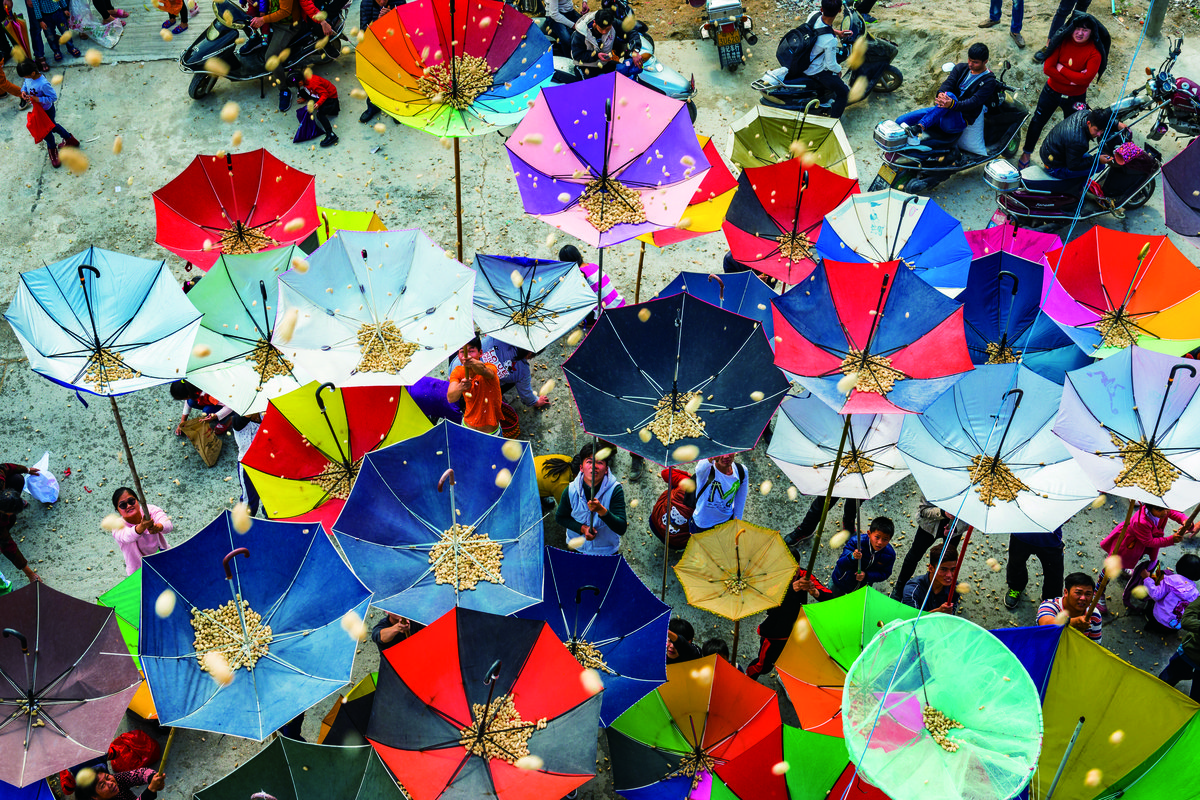 peanut rain in Guangdong