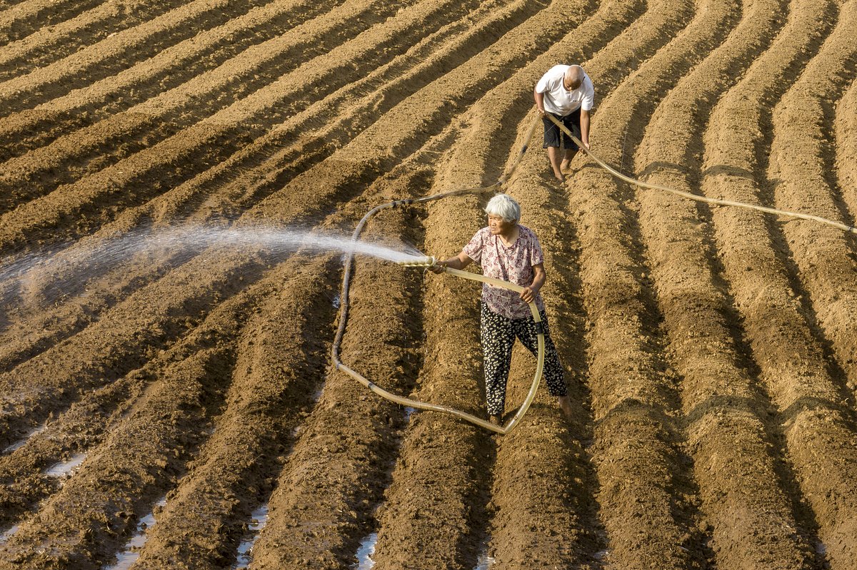 Drought and extreme heat in Henan province