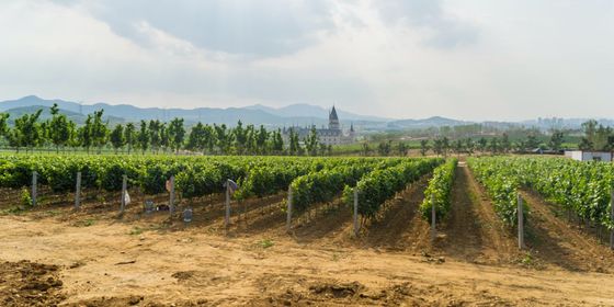 Grand-cellar_1200.jpg