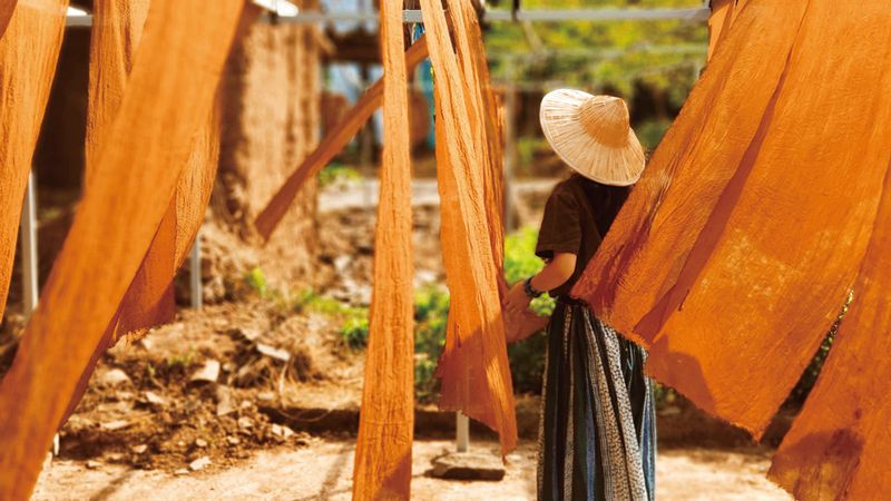 Drying dyed cloths under the sun