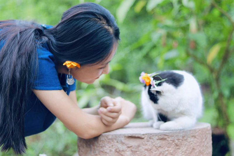 The dyehouse is not only a retreat for Liu and her family, but also for animal friends