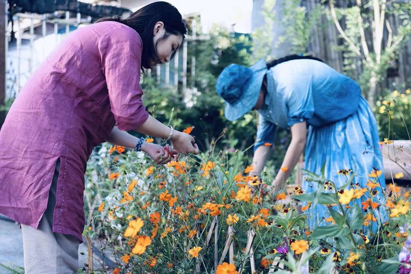 Collecting fresh flowers to “print” onto clothes