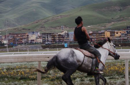 A rider in Litang