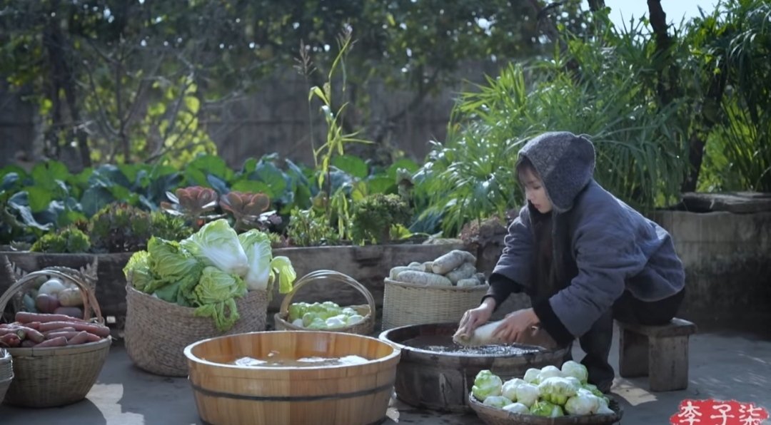 Li Ziqi makes Sichuan pickles