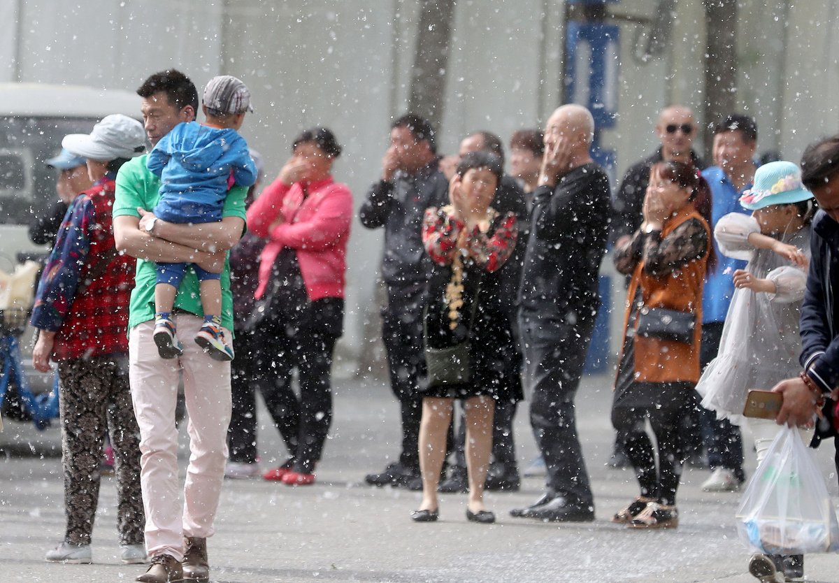 Pedestrians in Beijing dealing with catkins and fluff flying in the air, China's poplar trees