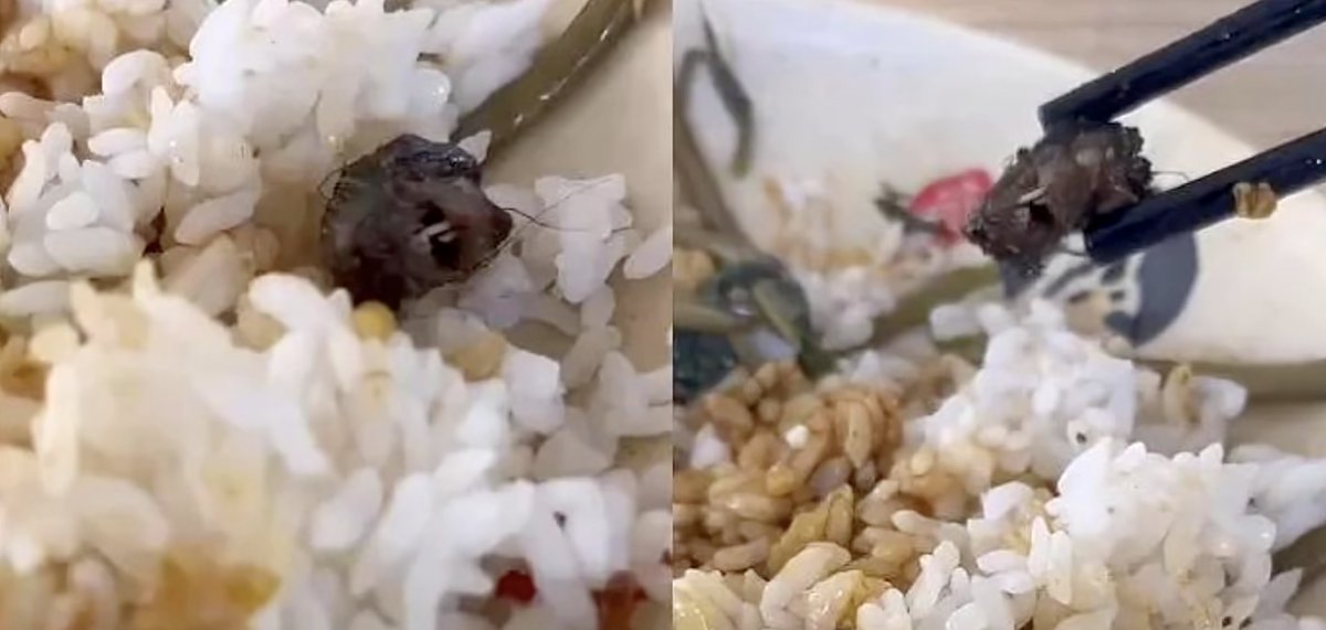 Student holding up the rat head found in his canteen meal with his chopsticks