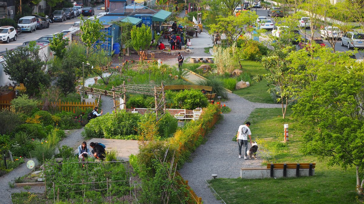 community garden, Shanghai, Liu Yuelai, China's urban community gardens, transformed