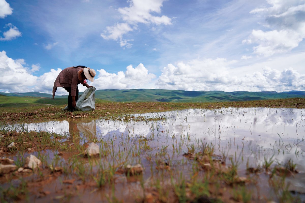 Sanjiangyuan National Park hires locals, many of them herders in hopes of protecting ecosystems in China