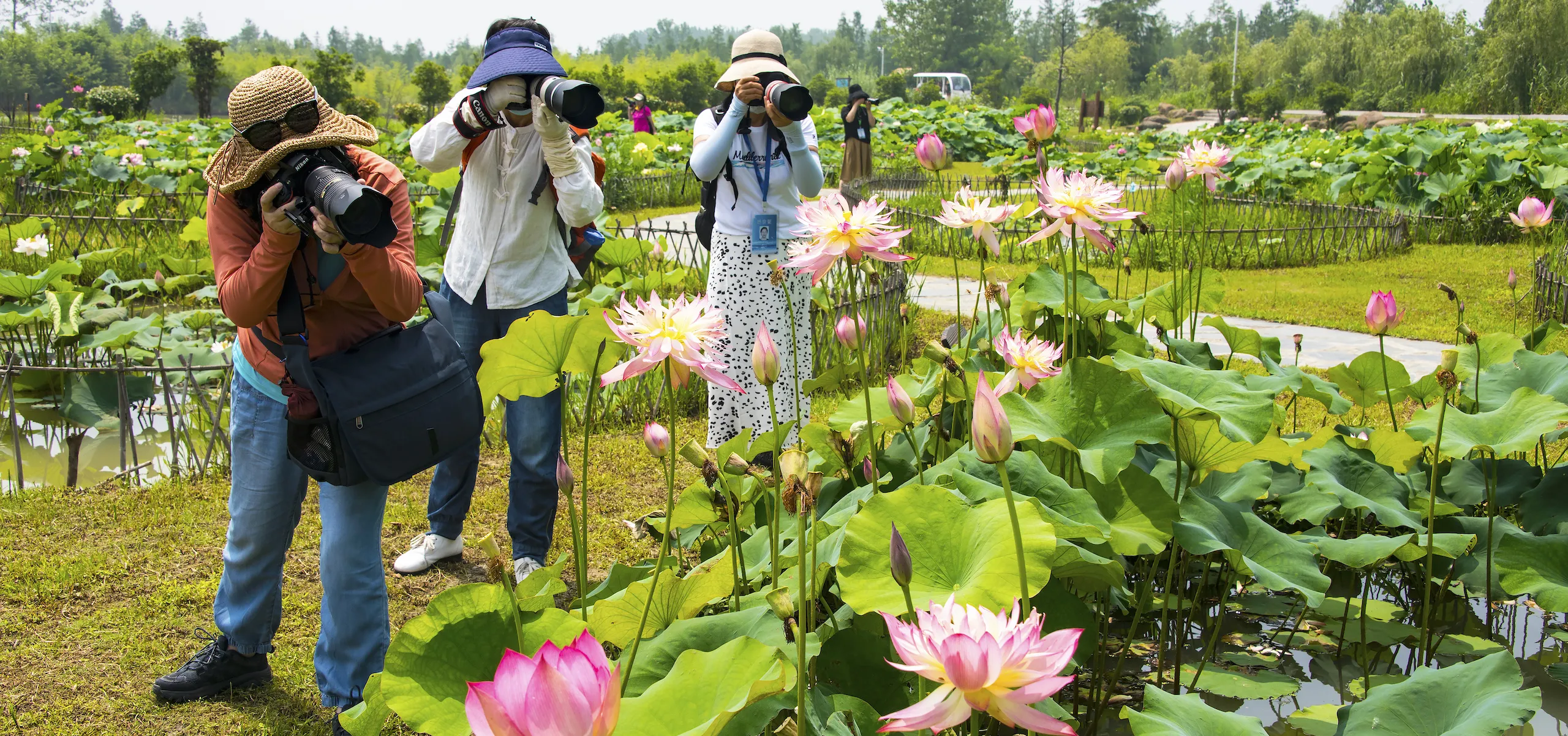 Tourists in Nanjing