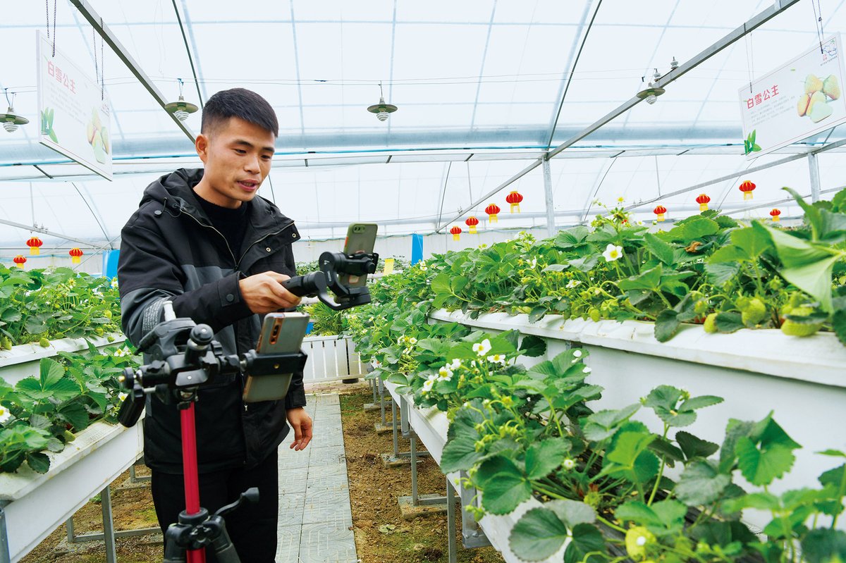 Farmers have flocked to livestream services to sell their products as the Covid-19 pandemic has blocked many offline selling channels