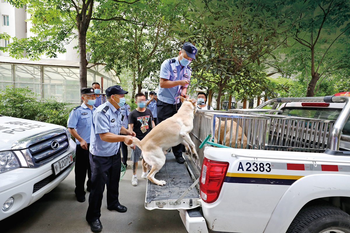 Urban management officers sometimes also patrol parks and streets to curb “uncivilized” dog-raising behavior