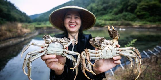 Woman holding two crabs