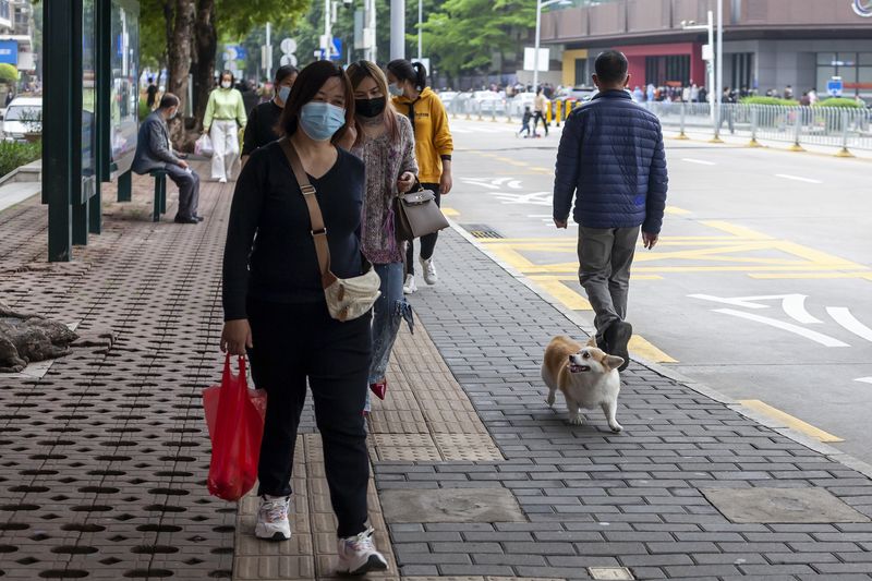 Shenzhen residents walking their dog on the street