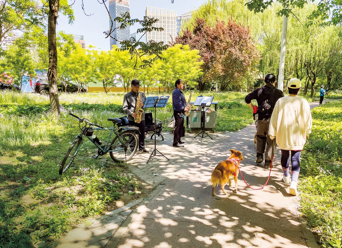 Retirees playing music or dancing to loud music is a common scene in public parks