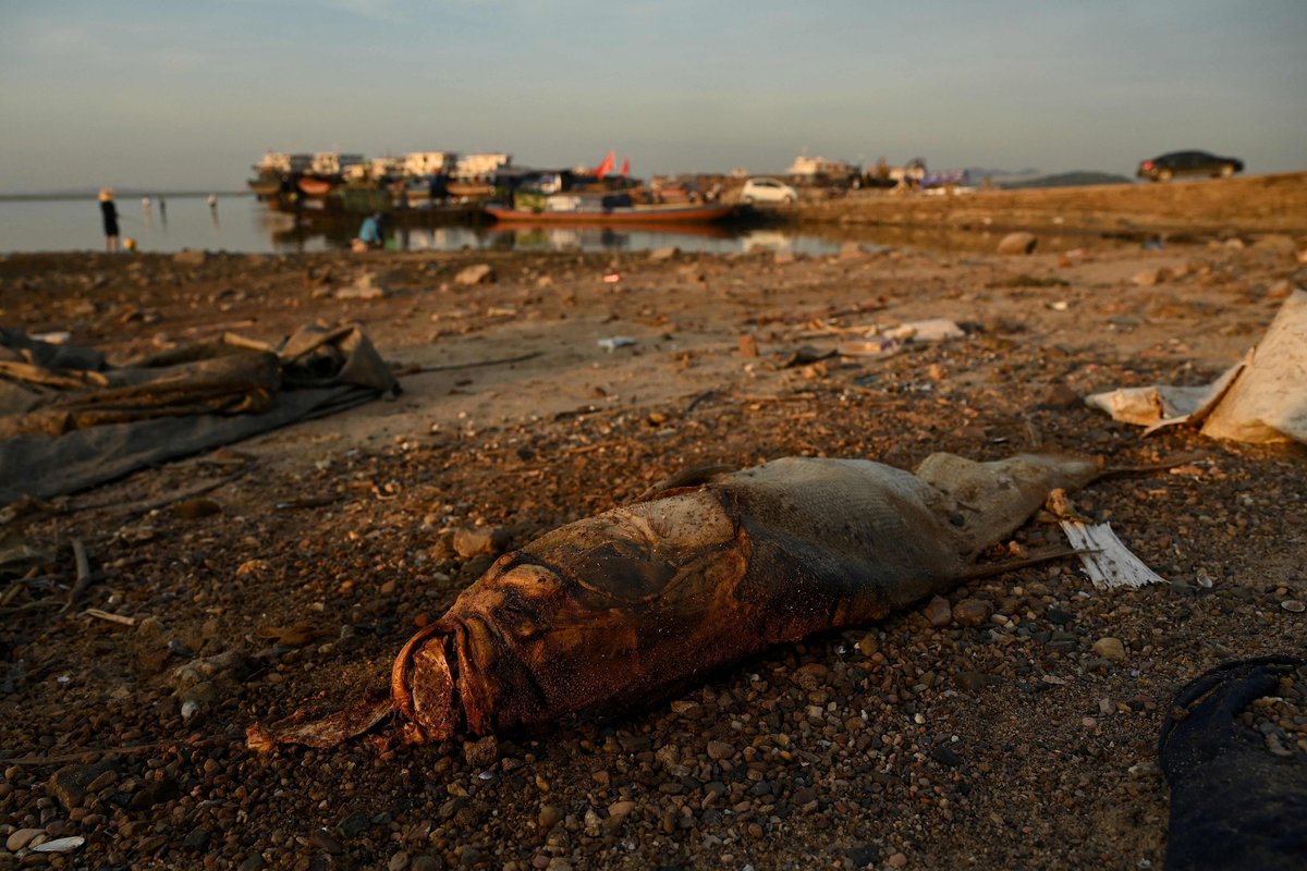 The fishing ban aims to revive an ecology severely damaged by decades of overfishign and sand mining