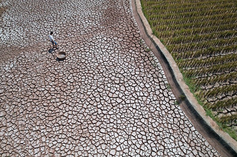 Worst droughts since 1961 in southern China this summer