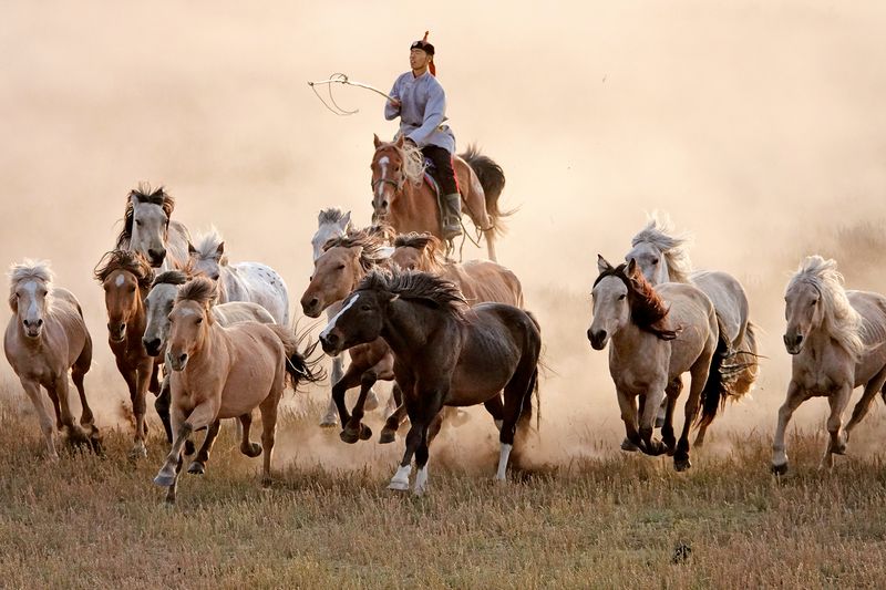 Mongolian herders and their horses on the grassland in Xilingol League, Inner Mongolia