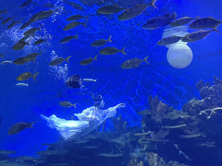 This year, Wuhan Polar Ocean Park celebrated the festival with an underwater performance of the goddess Chang’e flying to the moon (VCG)