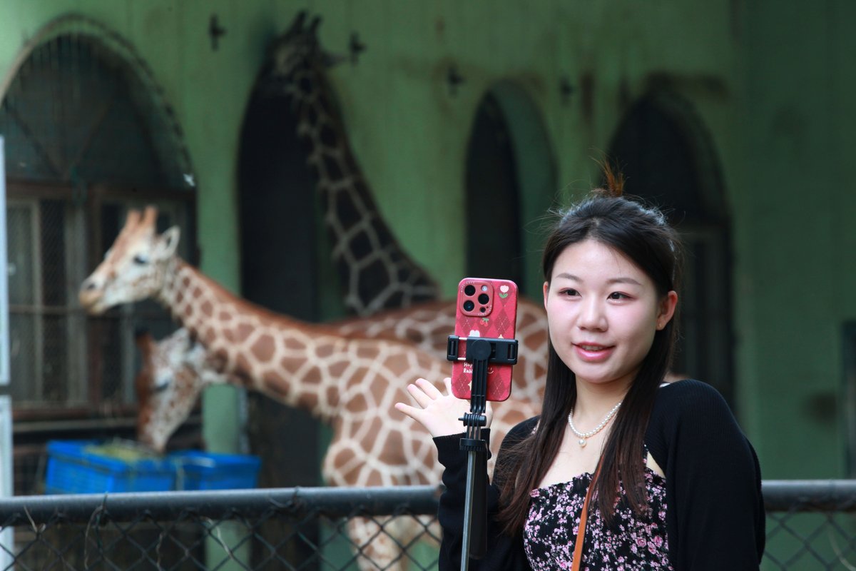 Young zoo fans taking photos or livestreaming with animals has become a trend on social media (VCG)