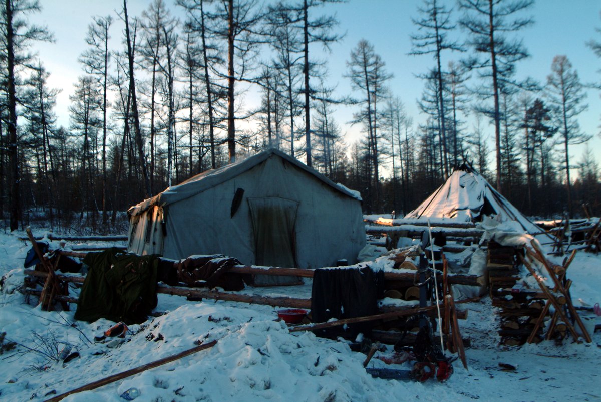 An Ewenki hunting camp in 2004