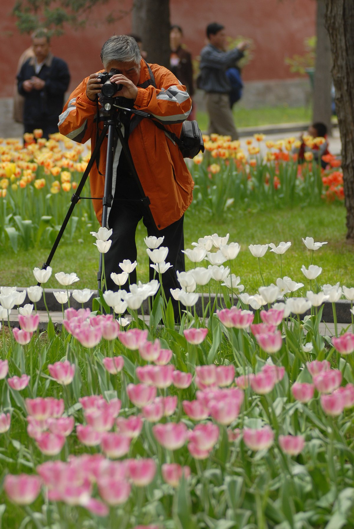 Elderly photographers with big cameras or mobile phones are a common scene in scenic spots around China (VCG)