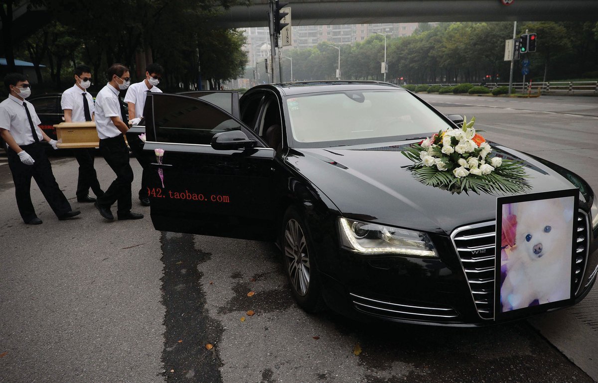 The elaborate funeral of a Shanghainese dog called Irwin in 2015 sparked a backlash