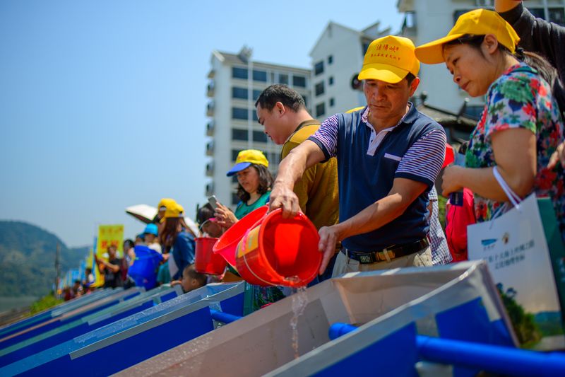 A fangsheng "culture festival" held in Qingyuan, Guangzhou, in 2017