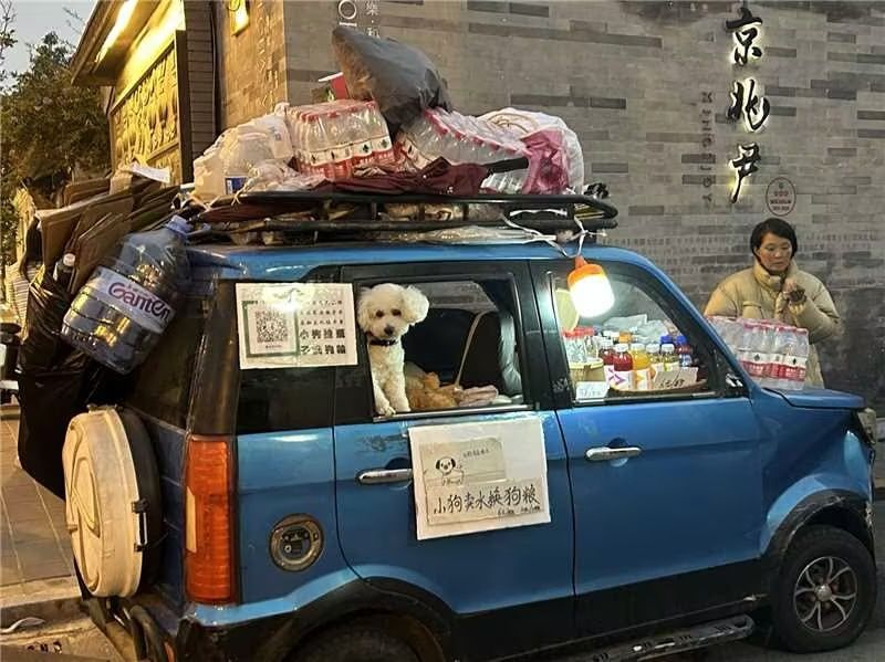 A puppy helps to sell goods out of a car in Beijing, dog attack pet owners china