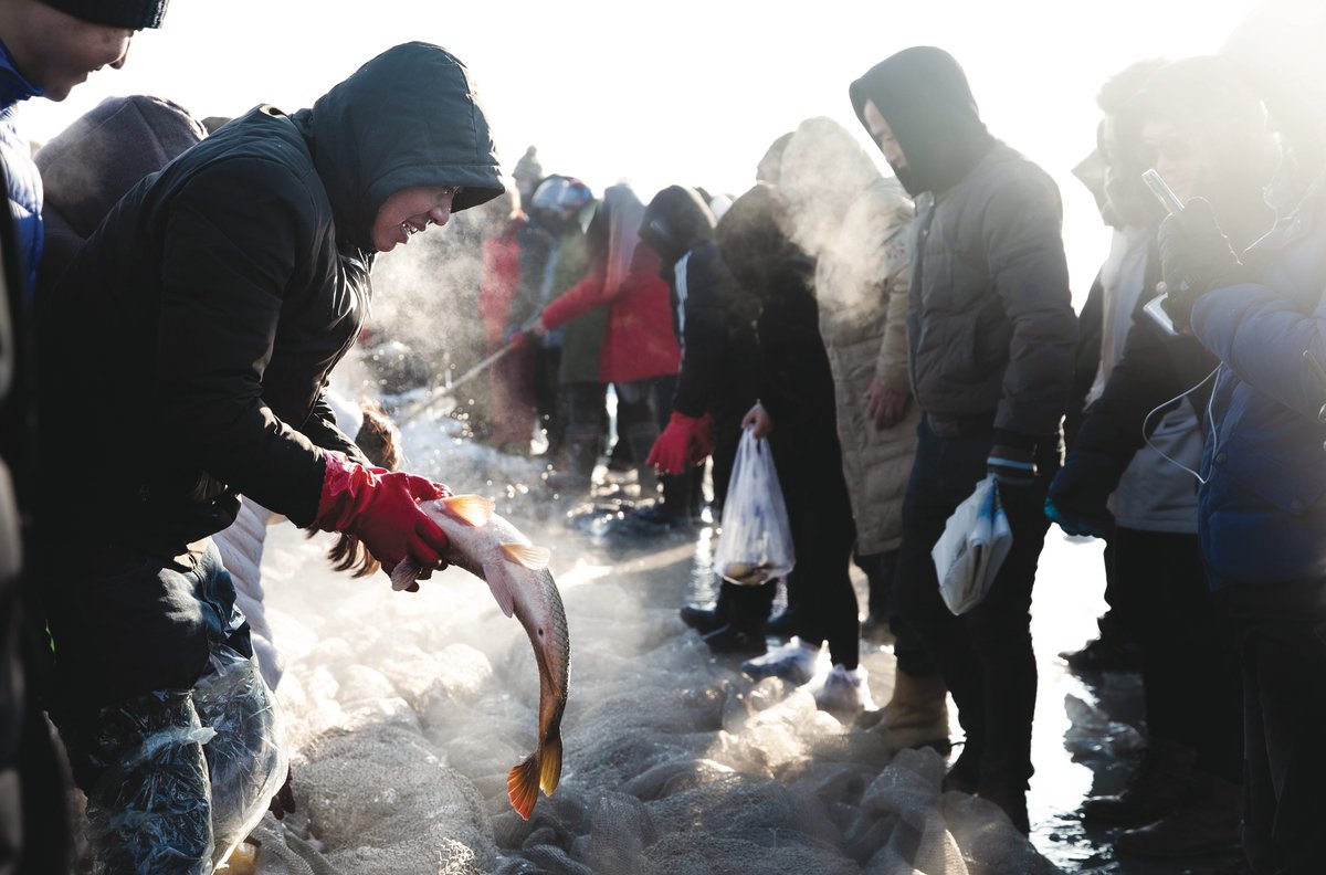 Visitors can select their own live fish as the net comes up—if they can keep hold of them