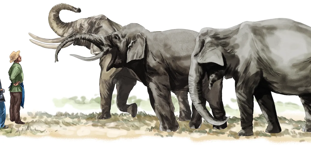 elephants-and-man-MB.png