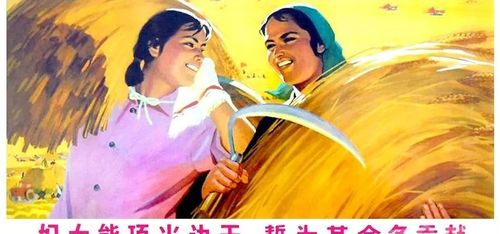 feminist history cover