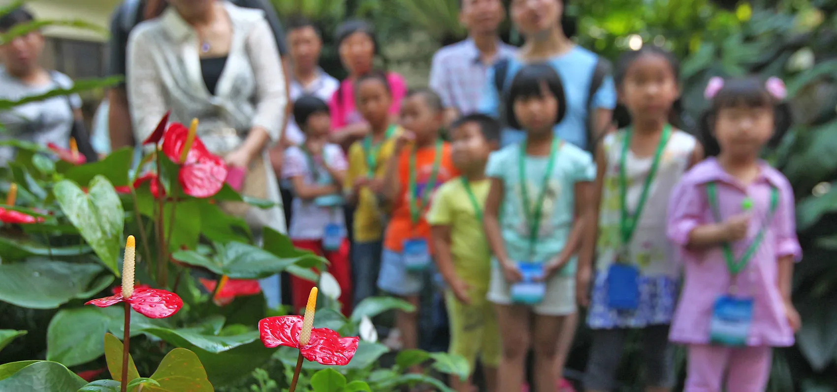 kids and nature cover-VCG11469126516