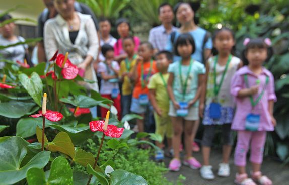 kids and nature cover-VCG11469126516