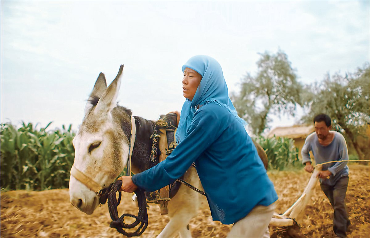 Return to Dust was accused of pandering to stereotypes of impoverished, tanned-looking peasants tending to barren fields in its portrayal of the Northwest