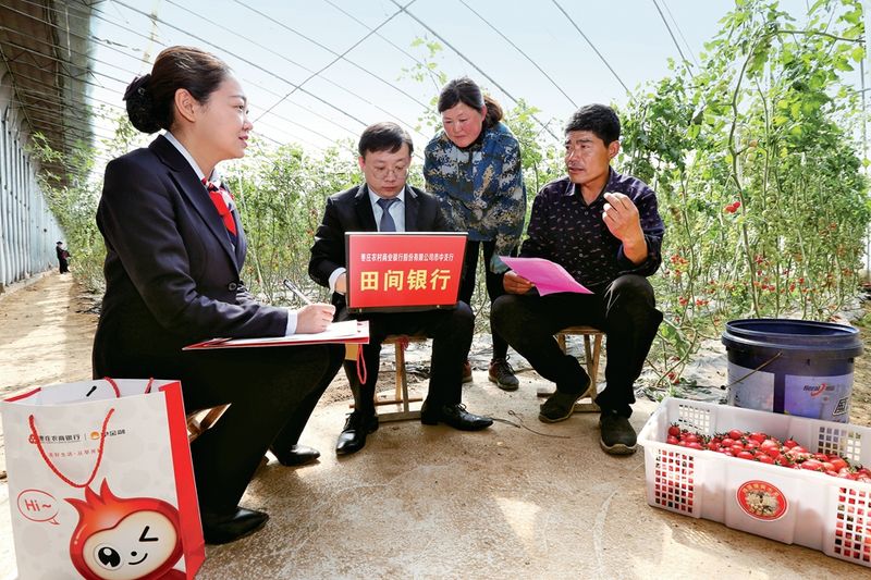 Door-to-door micro-loans are available in some rural areas for famers' convenience, Private Lending in China